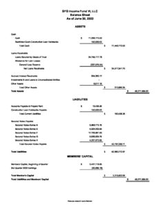 063022 SFGVI Balance Sheet & Income Statement - Seattle Funding Group ...